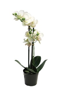 Dekordom Cvet u saksiji orchid 50cm 51344-0 - white - nnt