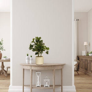 Dekordom Cvet u saksiji schefflera - n58