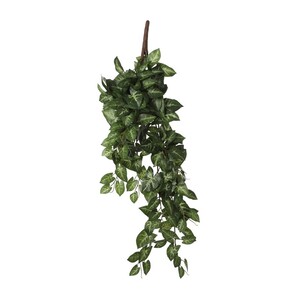 Dekordom Cvet syngonium 54cm 1074947 - green - edl