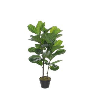 Dekordom Cvet u saksiji ficus lyrata 100cm 1040427 - green - edl