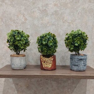 Dekordom Cvet u saksiji - bonsai lv001 - n38