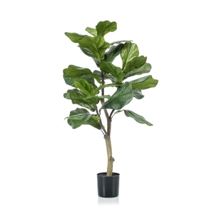 Dekordom Cvet u saksiji - ficus a1026 - n60