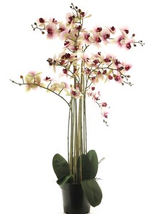 Dekordom Cvet u saksiji orchid 110cm 51341-7 - pink - nnt