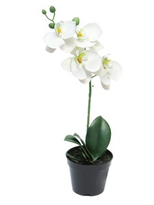 Dekordom Cvet u saksiji orchid 35cm 51345-0 - white - nnt
