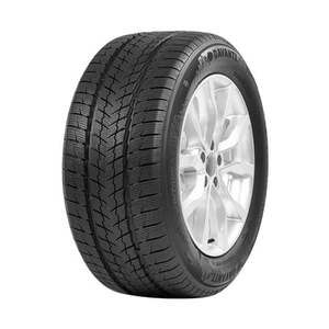255/50R19 Davanti 107V Wintoura SUV zim DOT23