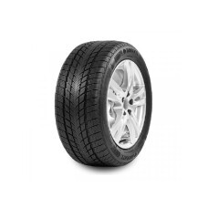 315/35R20 DAVANTI 110V Wintoura SUV zim
