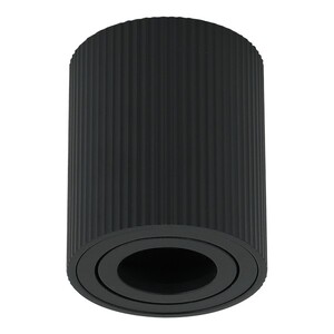 Forma Plafonska lampa AFS118-1C BK