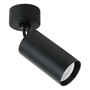 Forma Plafonska lampa AFS112-1C BK