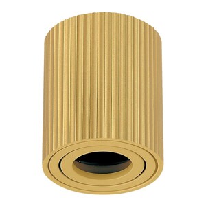 Forma Plafonska lampa AFS118-1C SG