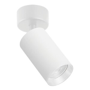 Forma Plafonska lampa AFS121-1C WH