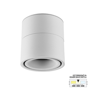 Forma LED nadgradna lampa LN-07-9 CCT WH