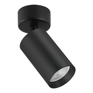 Forma Plafonska lampa AFS121-1C BK