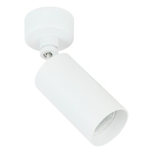 Forma Plafonska lampa AFS112-1C WH