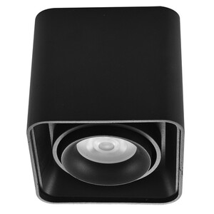 Forma Plafonska lampa AFS108-1C BK