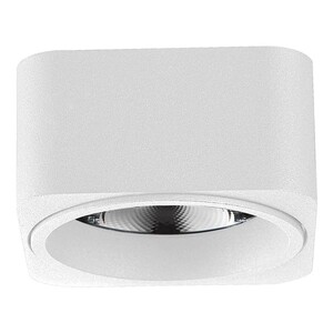 Forma LED nadgradna lampa LN-02-5 WH