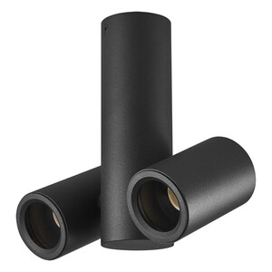 Forma Plafonska lampa AFS103-2C BK