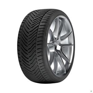 225/45R17 RIKEN 94V SNOW MS zim