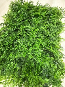 BOLZZ ZELENI ZID 3D PARK 40X60 CM BOLZZIDPARK