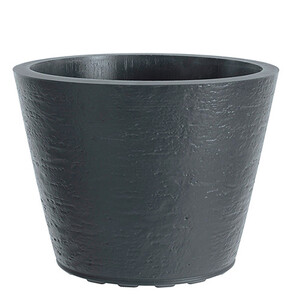 Saksija Di Martino Tirso, 40 lit, tamnosiva