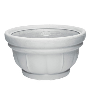 Saksija Di Martino Lara, 10 lit, bela