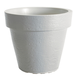 Saksija Di Martino Tago, 37 lit, bela