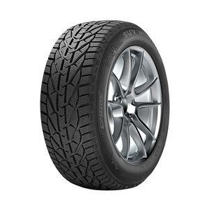 225/45R17 Orium 94V WINTER XL zim