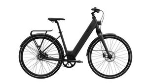 MS ENERGY eBike c300