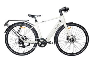 MS ENERGY eBike c40