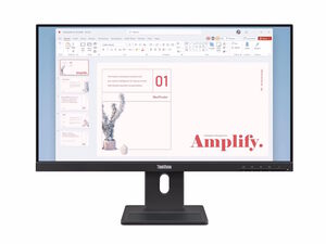 Monitor LENOVO ThinkVision E24-40 23.8", IPS, FHD, 100Hz, 4ms, HDMI, DP, VGA, Swivel, Pivot