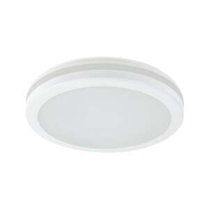 Led plafonjera 15w, promenljiva boja svetla E201821