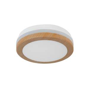 Led plafonjera 15w, promenljiva boja svetla X09-200-15w