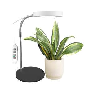 Jednostruka lampa za biljke 8w sa postoljem Lb-tl-01/rby