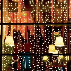 Svetleći niz sa 294 hladno bele led diode Kin294c/wh