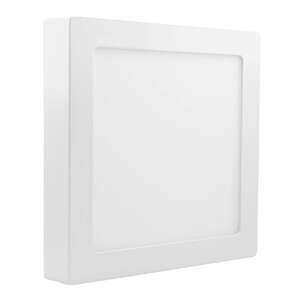 Led plafonjera 24w dnevno svetlo Lnp-p24b/w