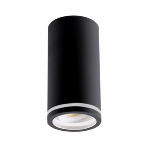 Spot lampa 1xgu10 E201900