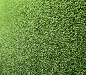 Nexsas Veštačka trava 150 2X25M/Roll  124900