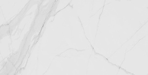 Zidne i podne pločice ESSENTIAL WHITE 60x120