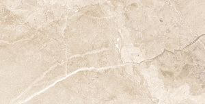 Zidne i podne pločice TOSCANA ARENA MATE 60x120