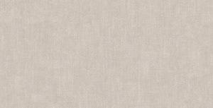 Zidne pločice TRAMES ALMOND 60x120