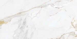 Zidne i podne pločice MARSHALL GOLD SATIN 60x120