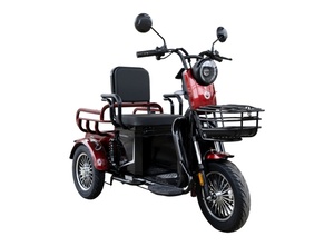 Eb-tricikl veneco bn025 cargo bordo 48v 20ah 1300182