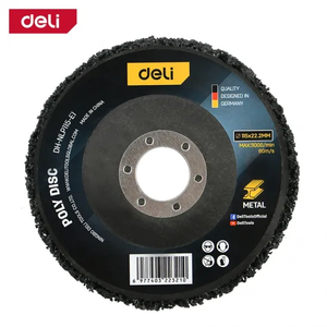 DELI Disk za skidanje rđe 115mm EDH-NLP115-E1