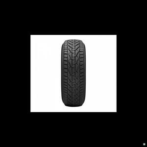 205/50R17 Riken 93V SNOW zim