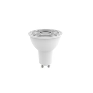 Rabalux LED sijalica SMD-LED 79080