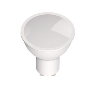 Rabalux LED sijalica SMD-LED 79082