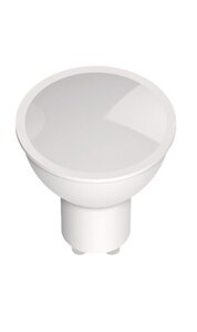 Rabalux LED sijalica SMD-LED 79132