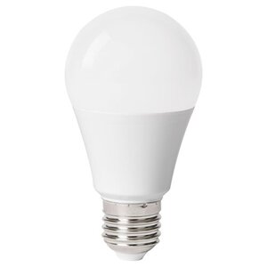 Rabalux LED sijalica SMD-LED 79092