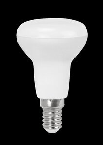 Rabalux LED sijalica SMD-LED 79064