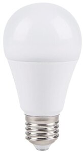 Rabalux LED sijalica SMD-LED 79143