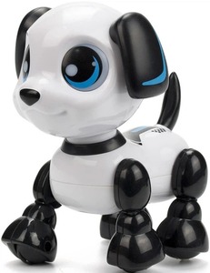 ROBO PAS